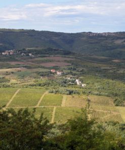 Central Istria